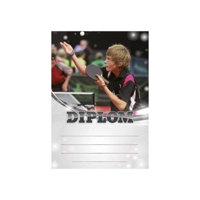 Diplom 6627 – Hledejceny.cz