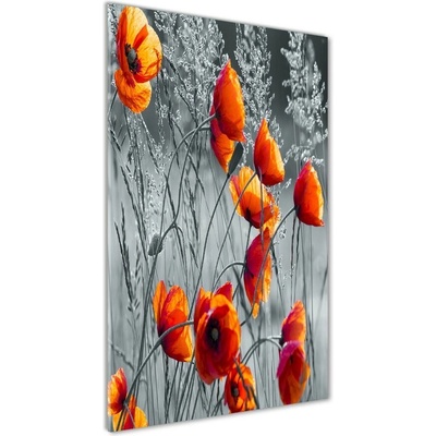 Vertikálny foto obraz sklenený Polné maky 50x100 cm