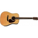 Eastman E8D-TC