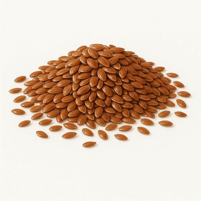 QuickTea Lněné semeno 250 g