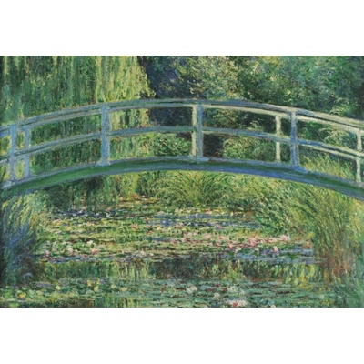 BlueBird Claude Monet Vodní leknín 1899 1000 dílků