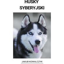 Husky Syberyjski