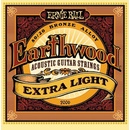 Ernie Ball 2006