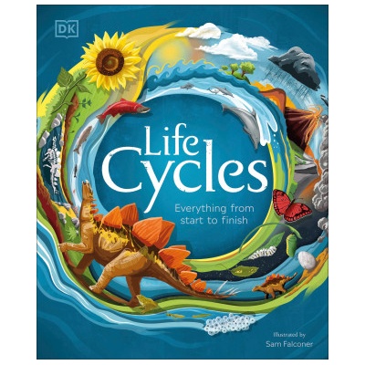 Life Cycles | Sam Falconer
