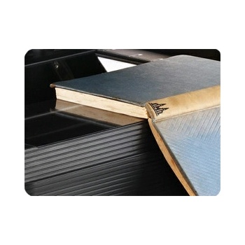 Plustek OpticBook 4800