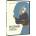MagicBox Bethlehem Light - DVD (051795)