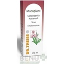 Mucoplant Spitzwegerich Hustensaft sir.1 x 250 ml