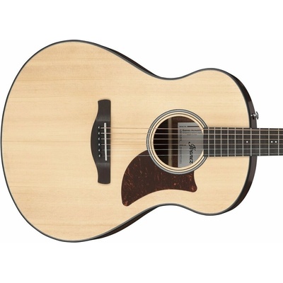 Ibanez AAM50