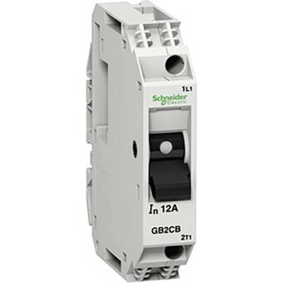 Schneider Electric GB2CB08