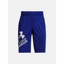 Under Armour UA Prototype 2.0 logo shorts