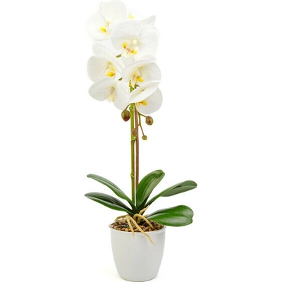 GLOBIZ Umelá orchidea 48cm - biela