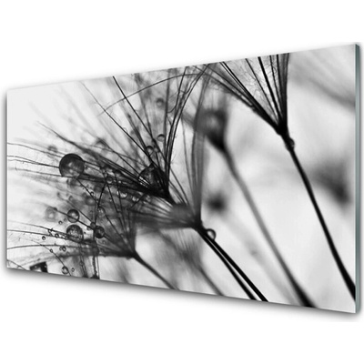 Obraz na skle Abstrakce Rostlina 100x50 cm