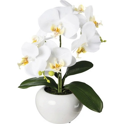 Umelá orchidea phalaenopsis 35 cm biela v keramickom kvetináči Real Touch