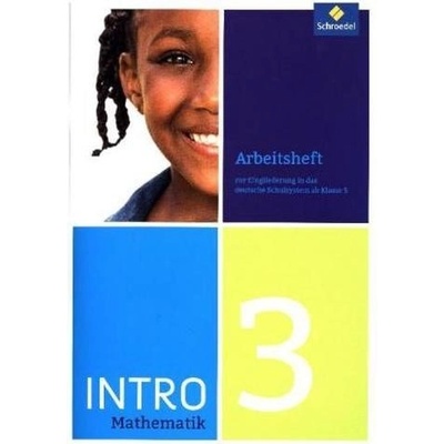 INTRO Mathematik SI - Arbeitsheft 3