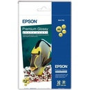 Epson C13S041706