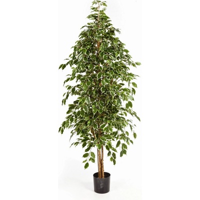 Luxusní umělý strom NATURAL EXOTICA STROM bílý okraj, 210 cm
