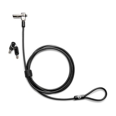 HP Nano Keyed Cable Lock (x2) 1AJ39AA