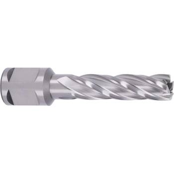 !!!! ABSE N-HS-W19-0140050
