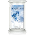 Kringle Candle Winter Iris ароматна свещ 624 гр
