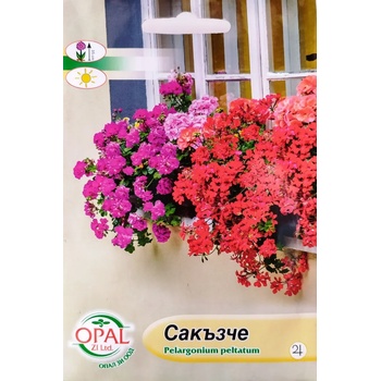 Opal Zi Сакъзче / Pelargonium peltatum