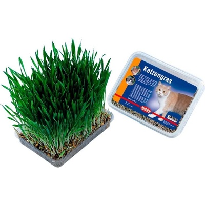Nobby Pet Shop Tráva pro kočky 100 g
