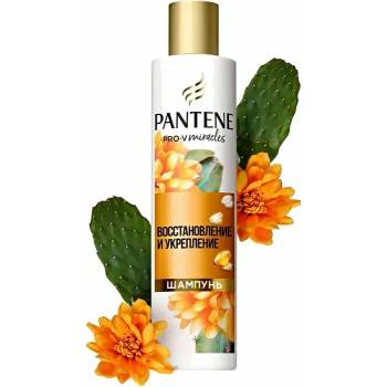 Pantene PRO-V Miracles биотин с екстракт от кактус и арган шампоан за изтощена коса 250 мл