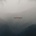 Townsend Devin Powernerd LP