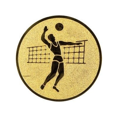 Emblém volejbalista 2,5cm – Sleviste.cz