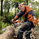 Image 1 of STIHL MS 362 (11402000744)