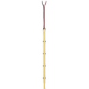PAULMANN 76029