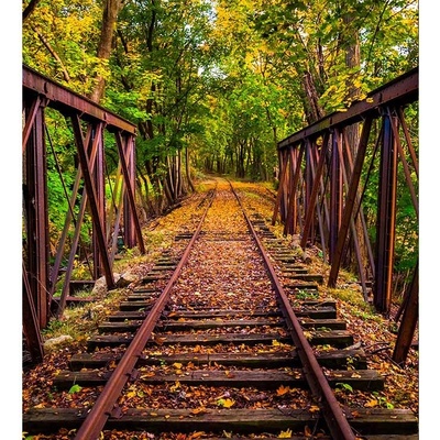 Dimex MS-3-0055 vliesová fototapeta rozměry 225 x 250 cm