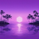 PURPLE DISCO MACHINE PARADISE