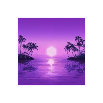 PURPLE DISCO MACHINE PARADISE