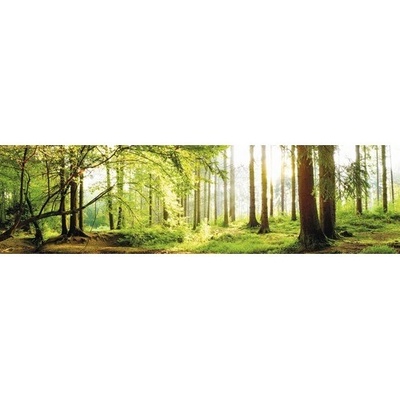 mySPOTTI Samolepící PVC tapeta do kuchyně splash Les, rozměry 60x220 cm