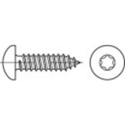 TOOLCRAFT 145177 čočkové šrouby do plechu 4.8 mm 80 mm T profil DIN 7981 ocel galvanizováno zinkem 250 ks