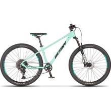 Beany Blaster XC 2026
