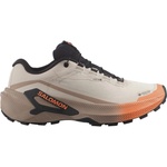 Salomon Дамски мултиспорт обувки Salomon Women's Genesis 2 GTX Trail running shoes - Rainy Day / Desert Tan / Nectarine - размер 43 1/3 (EU) (122-1529-0122)