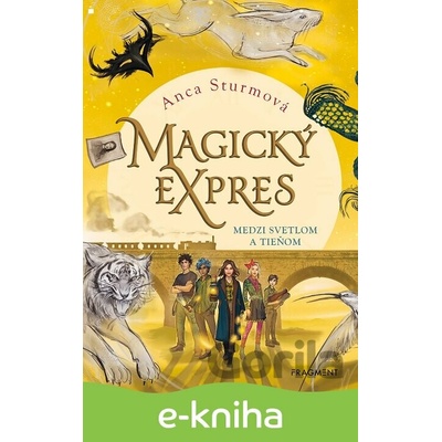Magický expres: Medzi svetlom a tieňom - Anca Sturmová