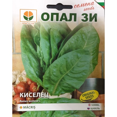 Opal Zi Семена от Киселец