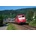 Piko Електрически локомотив BR 110.3 orientrot DB AG V (21776)
