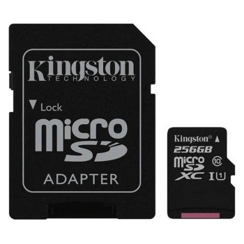 Samsung microSDXC UHS-I U3 256 GB MB-MC256GA/EU