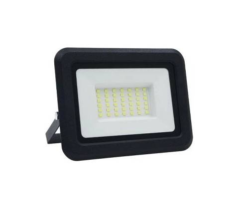Nedes LF0023