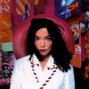 BJORK: POST LP