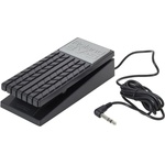 Roland EV-5