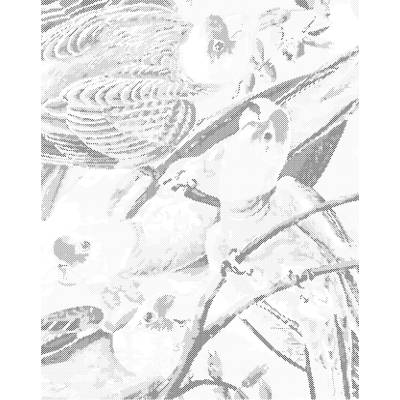 ZUTY Bodkovanie - PAPAGÁJI NA VETVIČKE Rámovanie: bez rámu a bez vypnutia plátna, Rozmer: 40x50 cm