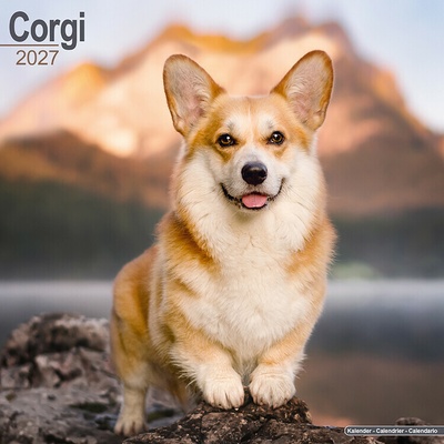 AVONSIDE Corgi, 30 x 30 cm 2027