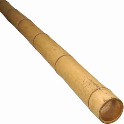 Bambusová tyč Guadua Ø 7-9 cm x 400 cm