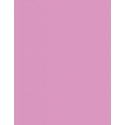 Sally Hansen lak na nechty Hard As Nails Xtreme Wear Nail Color 425 Pink Satin 11,8 ml