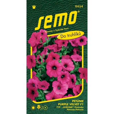 Semo Petúnia previsnutá Purple Velvet F1 typ Surfínia 10p