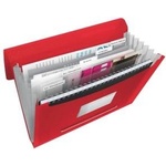 Esselte Briefcase with compartments VIVIDA Red (624016)